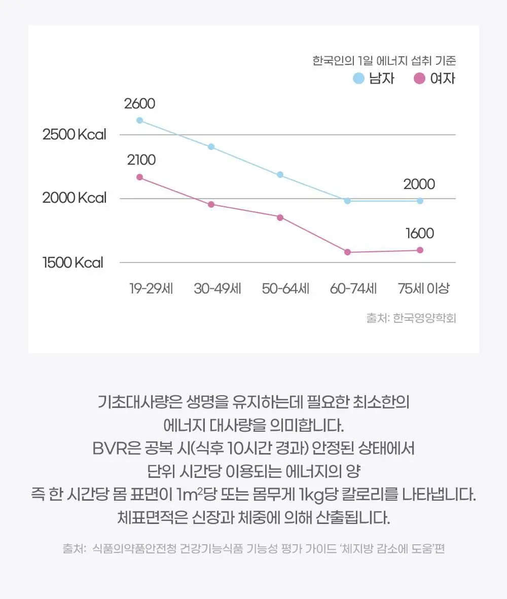 [딥트3일 한정기획] 워터밤 패키지 스트롱 플러스 8포+듀얼 버닝 3포 상세페이지 122